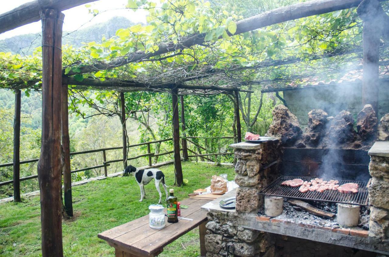 Il Frutteto Natura A Relax Villa Stazzema Exterior photo